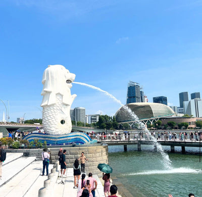 Designing, Dreaming, and Discovering Singapore - March 2025 entry 6