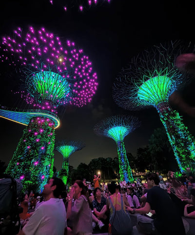 A Day of Beauty, Business, and a Sushi Adventure in Singapore - March 2025 Entry 5