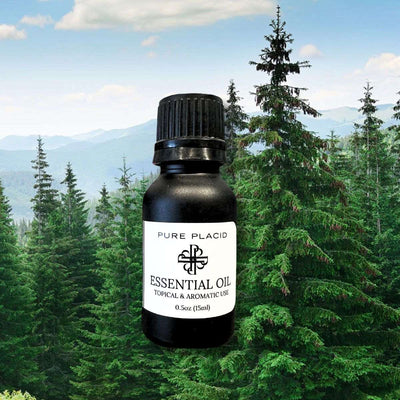 Fir Needle Essential Oil