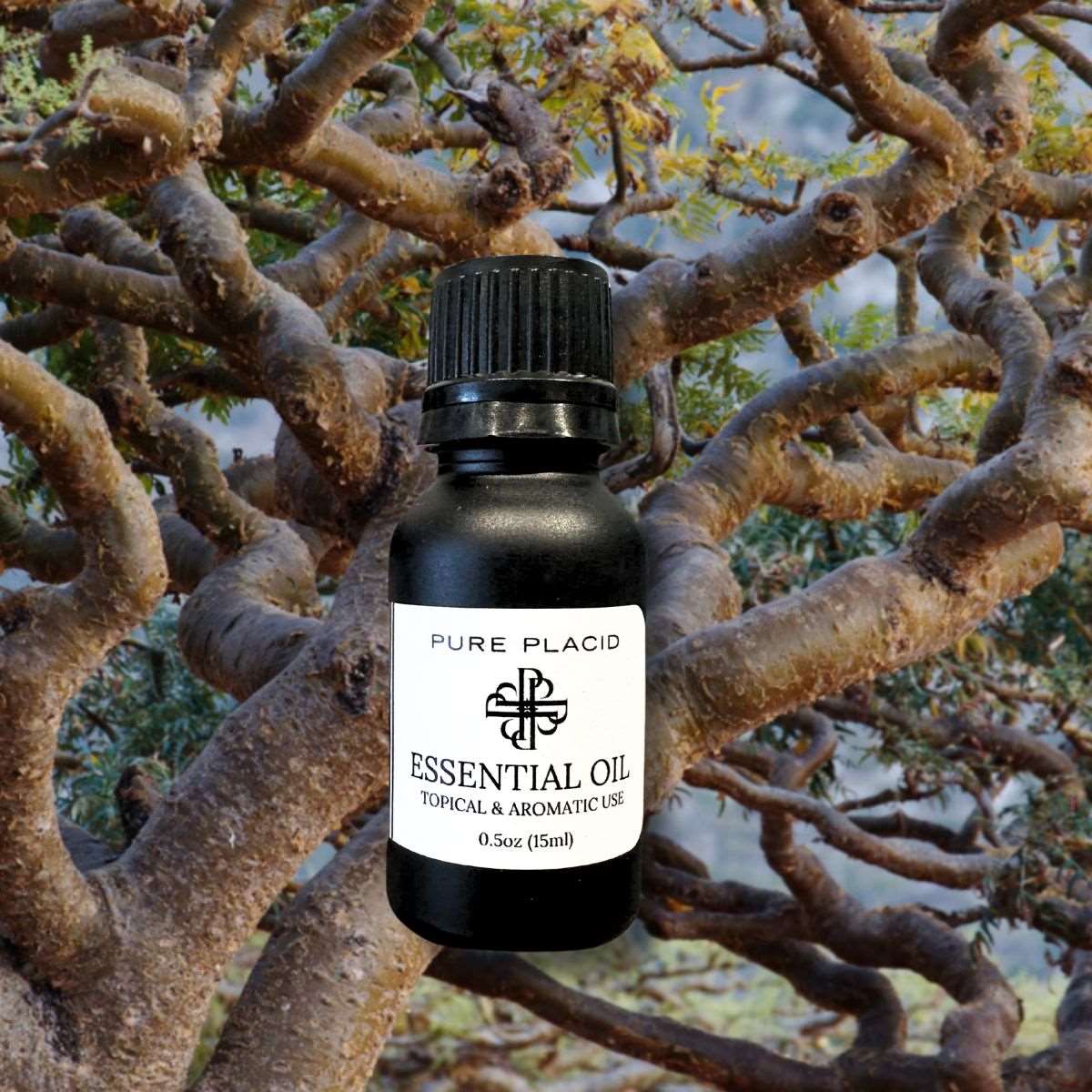 Frankincense Essential Oil