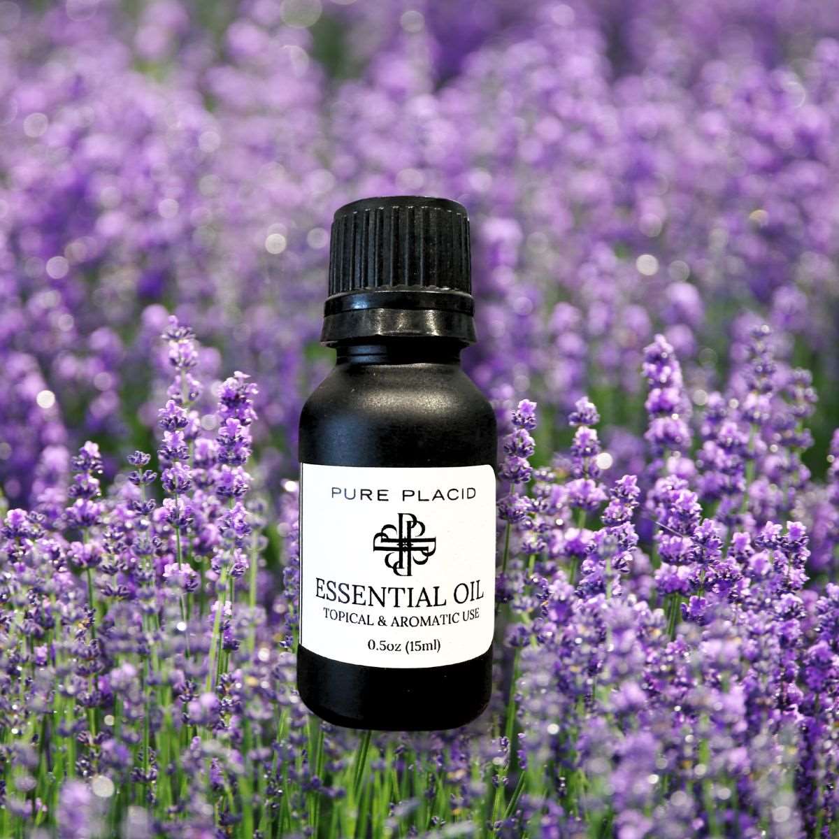 Lavender Essential Oil