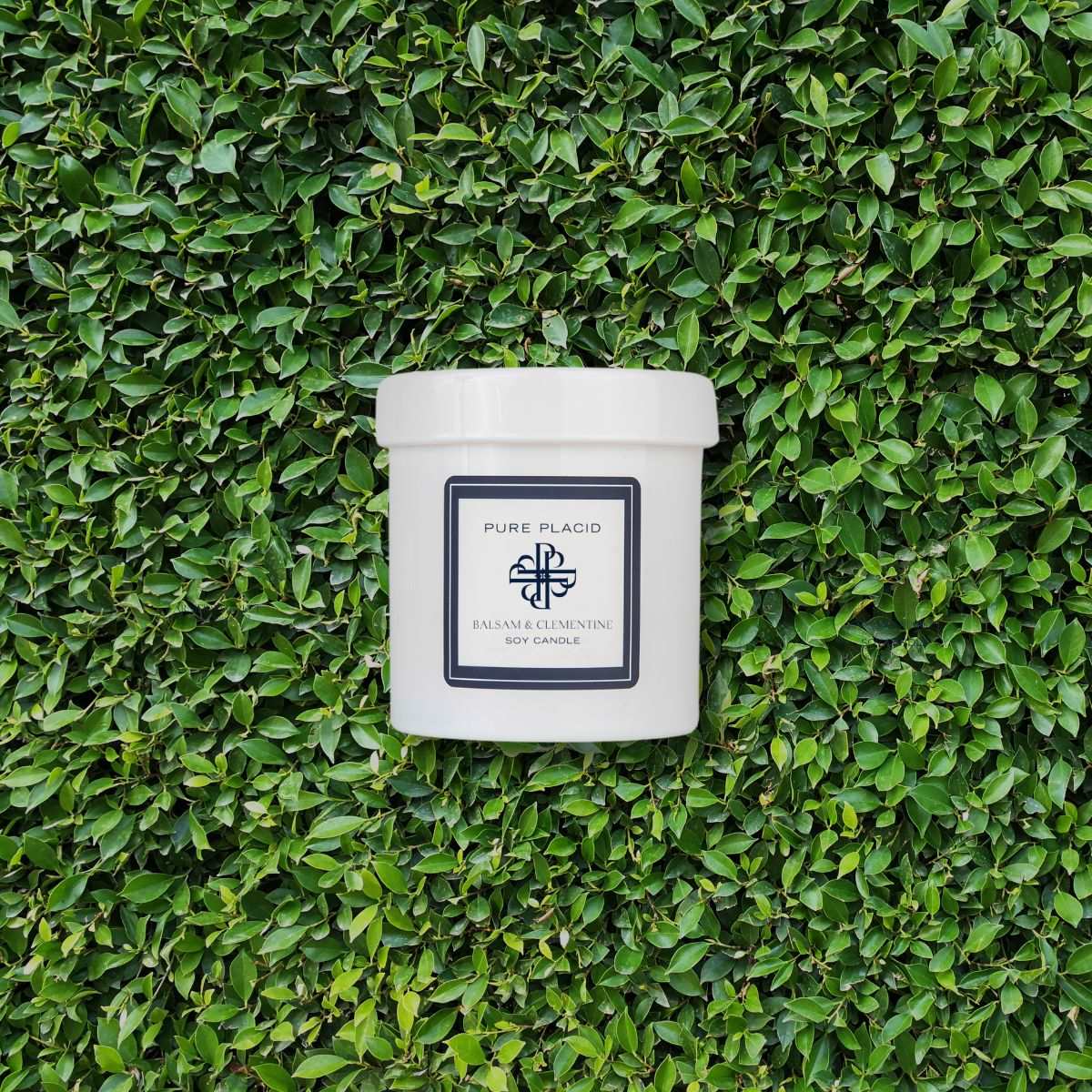 White Birch Soy Candle